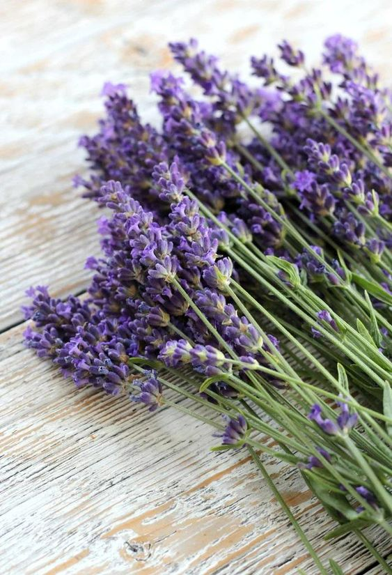 Green Witch丨Ten Commonly Used Manifestation Herbs