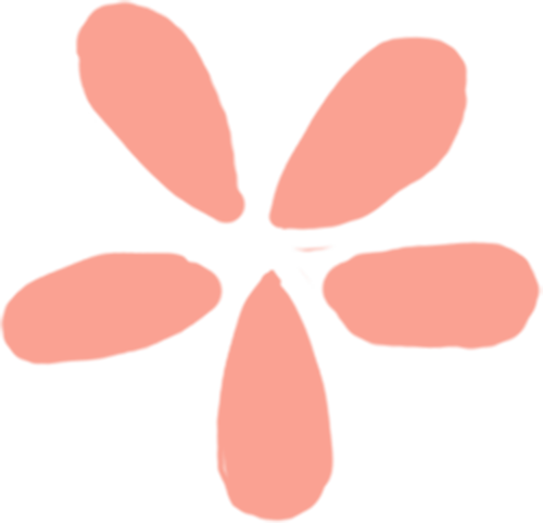 五条安地斯神圣原则
