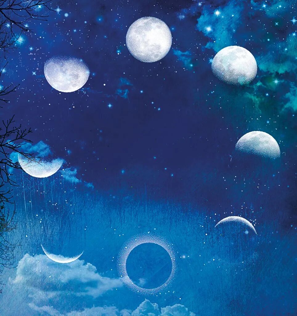 冥想丨New Moon新月之火冥想