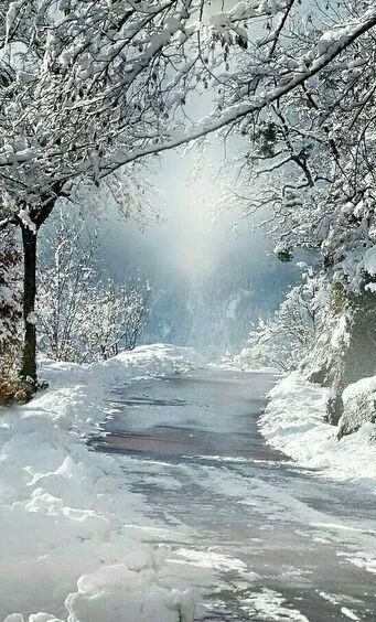 冥想丨冬季冥想WINTER MEDITATION
