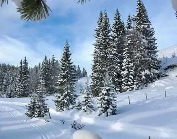 冥想丨冬季冥想WINTER MEDITATION