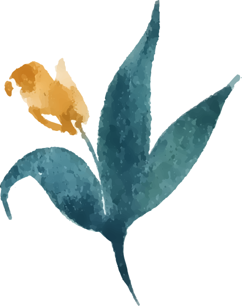 绿女巫丨十种常用的显化草药